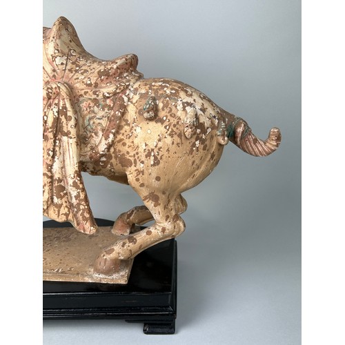 1 - A CHINESE TANG STYLE TERRACOTTA HORSE WITH TRACES OF PIGMENT, 

48cm x 38cm x 14cm

Sitting on a woo... 