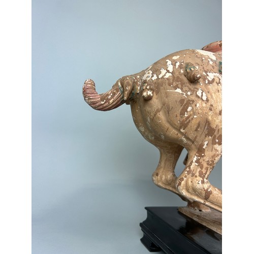 1 - A CHINESE TANG STYLE TERRACOTTA HORSE WITH TRACES OF PIGMENT, 

48cm x 38cm x 14cm

Sitting on a woo... 