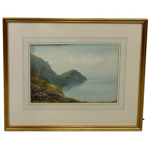 379 - A WATERCOLOUR PAINTING ON PAPER DEPICTING A COASTAL SCENE,

34cm x 23cm 

Mounted in a frame and gla... 