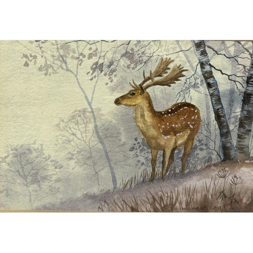 354 - A WATERCOLOUR PAINTING AND DRAWING ON PAPER DEPICTING A MALE STAG IN RICHMOND PARK, 

16cm x 12cm

M... 