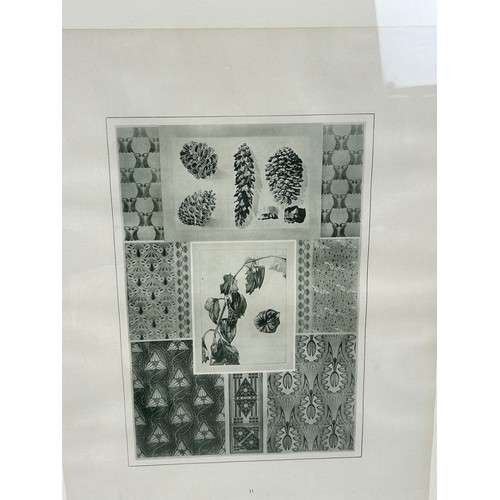 399 - A SET OF THREE BOTANICAL PRINTS (3), 

49cm x 35cm 

Each mounted in a frame and glazed. 

70cm x 55... 