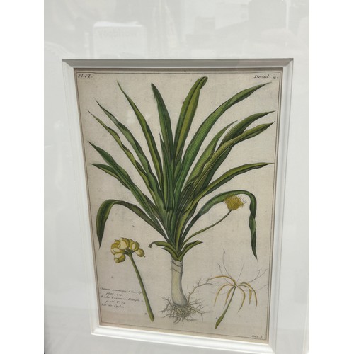 401 - TWO LARGE FRAMED SETS OF BOTANICAL PRINTS, 

Mounted in frames and glazed 

100cm x 75cm


Each with... 