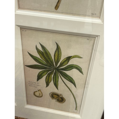 401 - TWO LARGE FRAMED SETS OF BOTANICAL PRINTS, 

Mounted in frames and glazed 

100cm x 75cm


Each with... 