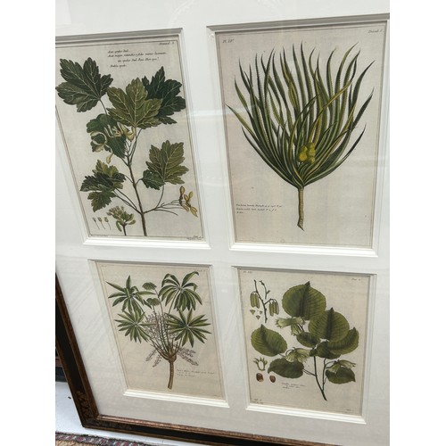 401 - TWO LARGE FRAMED SETS OF BOTANICAL PRINTS, 

Mounted in frames and glazed 

100cm x 75cm


Each with... 