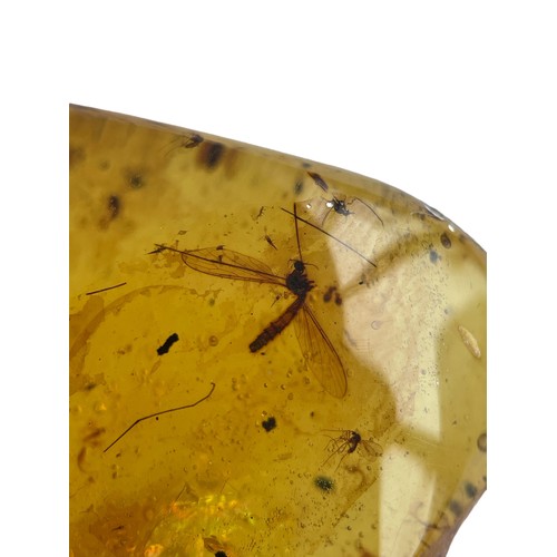 628 - MULTIPLE FLYING INSECT FOSSILS IN DINOSAUR AGED AMBER

A large amber gem containing multiple well pr... 