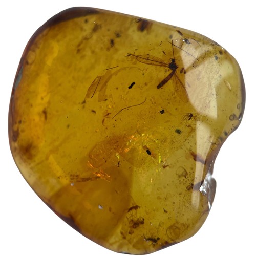 628 - MULTIPLE FLYING INSECT FOSSILS IN DINOSAUR AGED AMBER

A large amber gem containing multiple well pr... 