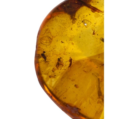 628 - MULTIPLE FLYING INSECT FOSSILS IN DINOSAUR AGED AMBER

A large amber gem containing multiple well pr... 