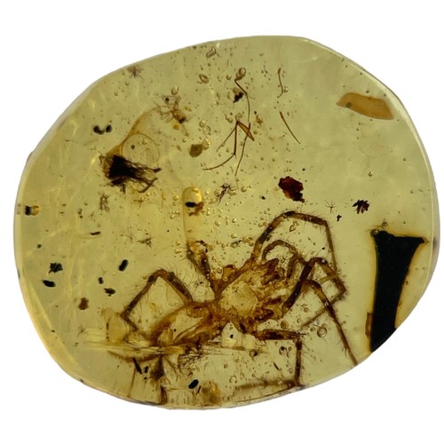 629 - A SPIDER FOSSIL IN DINOSAUR AGED BURMESE AMBER

A highly detailed spider in Cretaceous amber. Polish... 