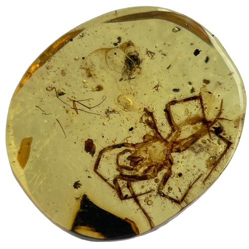 629 - A SPIDER FOSSIL IN DINOSAUR AGED BURMESE AMBER

A highly detailed spider in Cretaceous amber. Polish... 