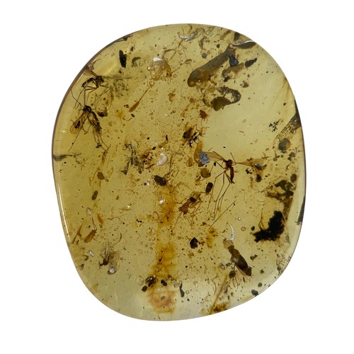 630 - MOSQUITOES IN DINOSAUR AGED BURMESE AMBER 

This clear amber gem contains three large mosquito fossi... 