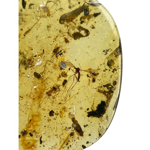 630 - MOSQUITOES IN DINOSAUR AGED BURMESE AMBER 

This clear amber gem contains three large mosquito fossi... 