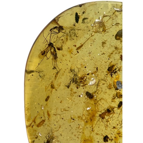 630 - MOSQUITOES IN DINOSAUR AGED BURMESE AMBER 

This clear amber gem contains three large mosquito fossi... 