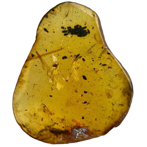 631 - A VERY RARE DINOSAUR FEATHER AND UNKNOWN EGG FOSSIL IN BURMESE AMBER

An extremely scarce dinosaur f... 