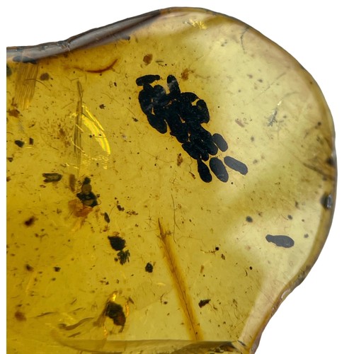 631 - A VERY RARE DINOSAUR FEATHER AND UNKNOWN EGG FOSSIL IN BURMESE AMBER

An extremely scarce dinosaur f... 