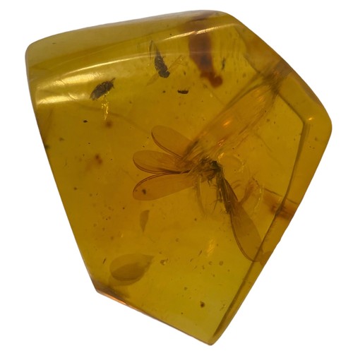 633 - A WINGED INSECT FOSSIL IN AMBER 

A highly detailed winged Termite, in clear amber. Polished to a fi... 