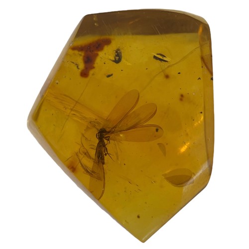 633 - A WINGED INSECT FOSSIL IN AMBER 

A highly detailed winged Termite, in clear amber. Polished to a fi... 