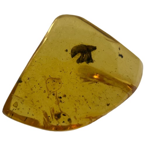 634 - AN UNKNOWN INSECT FOSSIL IN AMBER

A highly unusual, unknown insect with padded feet, in clear amber... 