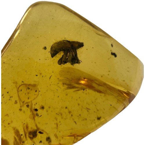 634 - AN UNKNOWN INSECT FOSSIL IN AMBER

A highly unusual, unknown insect with padded feet, in clear amber... 