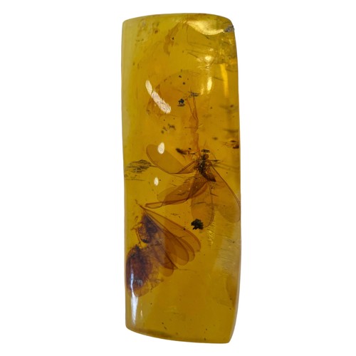 635 - A PAIR OF WINGED INSECT FOSSIL IN AMBER

A highly detailed pair of winged Termites, in clear amber. ... 