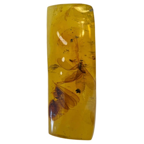 635 - A PAIR OF WINGED INSECT FOSSIL IN AMBER

A highly detailed pair of winged Termites, in clear amber. ... 