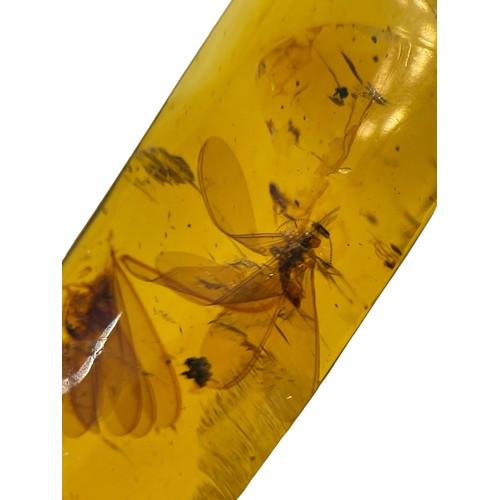 635 - A PAIR OF WINGED INSECT FOSSIL IN AMBER

A highly detailed pair of winged Termites, in clear amber. ... 