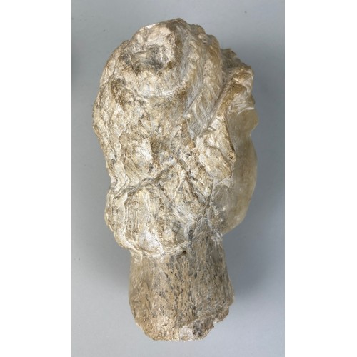 262 - A ROMAN STYLE STONE BUST OF A FIGURE, 

22cm x 12cm