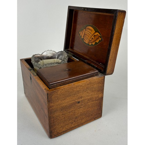 26 - A 19TH CENTURY GEORGIAN SHERATON DESIGN CADDY, 

With parquetry border and marquetry inlaid shell pa... 