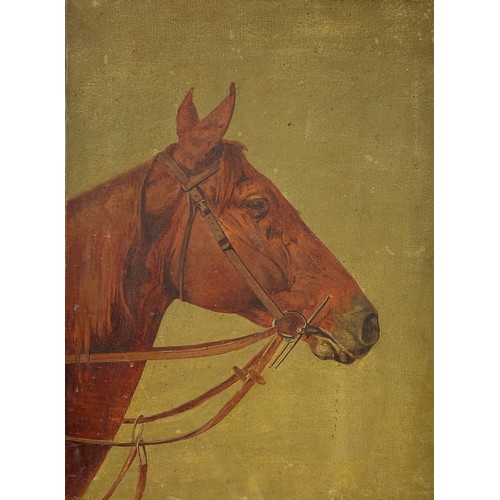 12 - EQUESTRIAN INTEREST: AN OIL PAINTING ON CANVAS DEPICTING A HORSES HEAD ON OLIVE GREEN BACKGROUND,

5... 