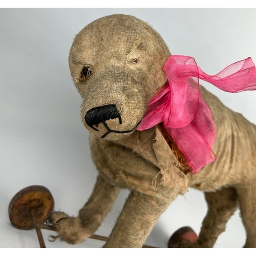 37 - AN ANTIQUE TOY DOG ON CASTORS, 

55cm x 38cm