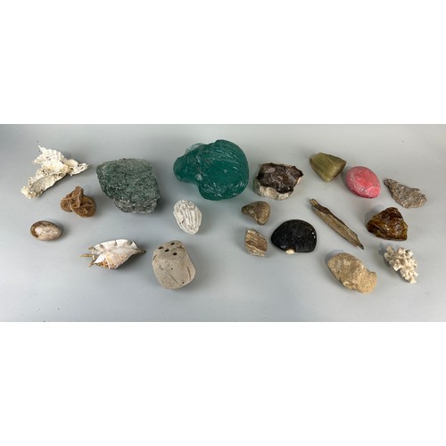 205 - NATURAL HISTORY INTEREST: A COLLECTION OF FOSSILS, MINERALS AND SHELLS,