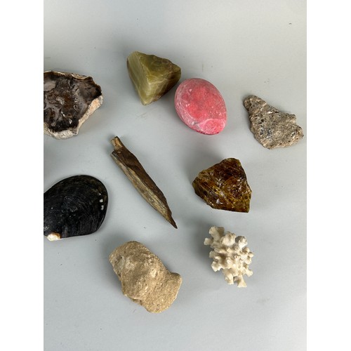 205 - NATURAL HISTORY INTEREST: A COLLECTION OF FOSSILS, MINERALS AND SHELLS,