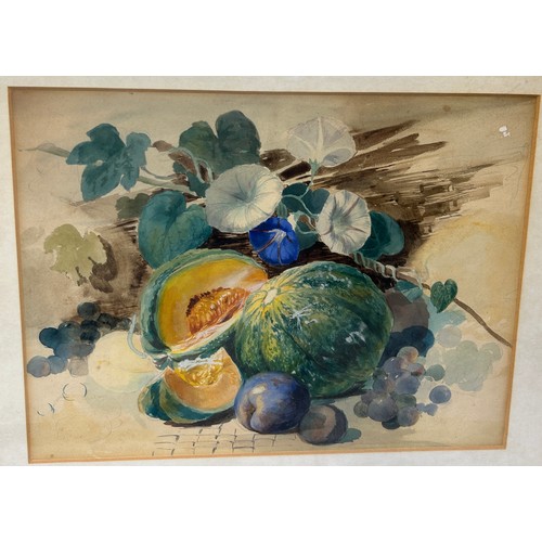 195 - BOTANICAL WATERCOLOURS / PRINTS TO INCLUDE TWO BY J.F. ROSENBERG (3) 

Mounted in frames and glazed.... 