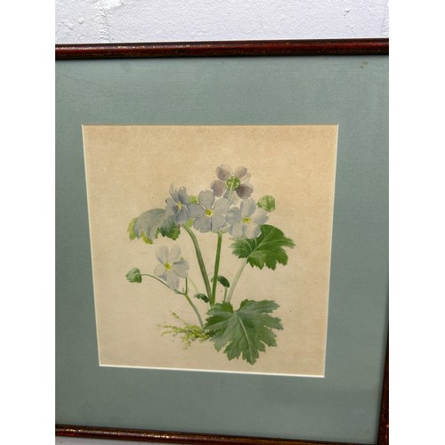 195 - BOTANICAL WATERCOLOURS / PRINTS TO INCLUDE TWO BY J.F. ROSENBERG (3) 

Mounted in frames and glazed.... 