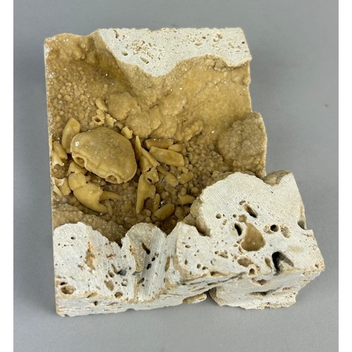 149 - A CRAB FOSSIL IN TRAVERTINE,

11cm x 10cm 

A very unusual cut travertine slab containing a fossilis... 