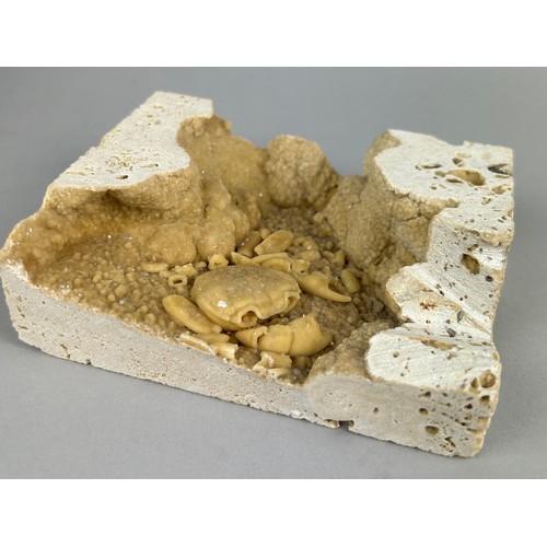 149 - A CRAB FOSSIL IN TRAVERTINE,

11cm x 10cm 

A very unusual cut travertine slab containing a fossilis... 