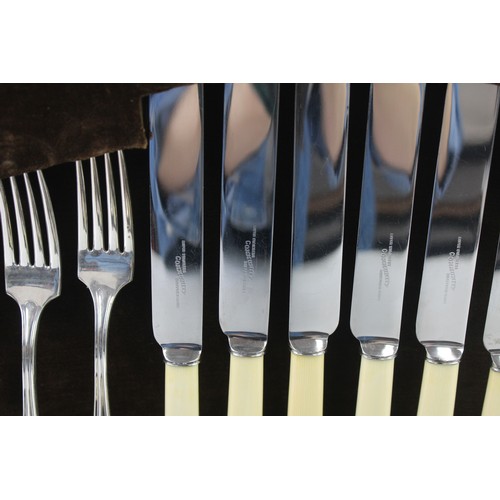 872 - A VINTAGE CUTLERY SET COMMUNITY STAINLESS STEEL SHEFFIELD T2 PIECE WOODEN CANTEEN,