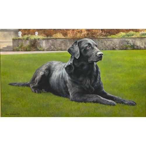 85 - SUE CASSON (20TH CENTURY BRITISH): AN OIL PAINTING ON CANVAS TITLED 'BLACK LABRADOR', 

54cm x 34cm.... 