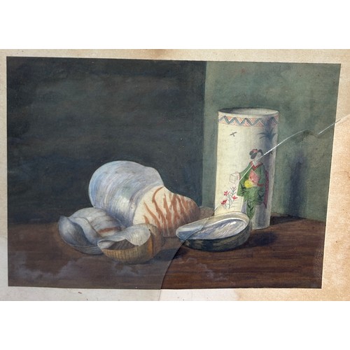 93 - A STILL LIFE WATERCOLOUR PAINTING DEPICTING A CHINESE SLEEVE VASE NAUTILUS SHELLS, 

Framed, broken ... 