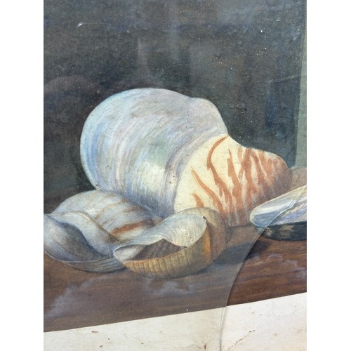 93 - A STILL LIFE WATERCOLOUR PAINTING DEPICTING A CHINESE SLEEVE VASE NAUTILUS SHELLS, 

Framed, broken ... 