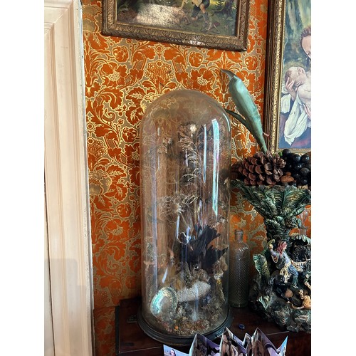 21 - A LARGE VICTORIAN GLASS DOME AND BASE FILLED WITH TAXIDERMY BIRD DIORAMA, 

78cm x 28cm