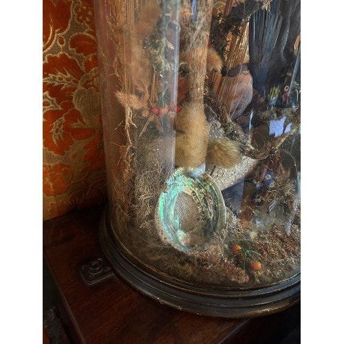 21 - A LARGE VICTORIAN GLASS DOME AND BASE FILLED WITH TAXIDERMY BIRD DIORAMA, 

78cm x 28cm