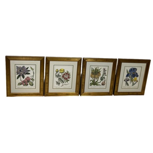 793 - A SET OF FOUR HAND COLOURED BOTANICAL PRINTS AFTER SYD EDWARDS AND E SANSOM, 

34cm x 26cm 

Mounted... 