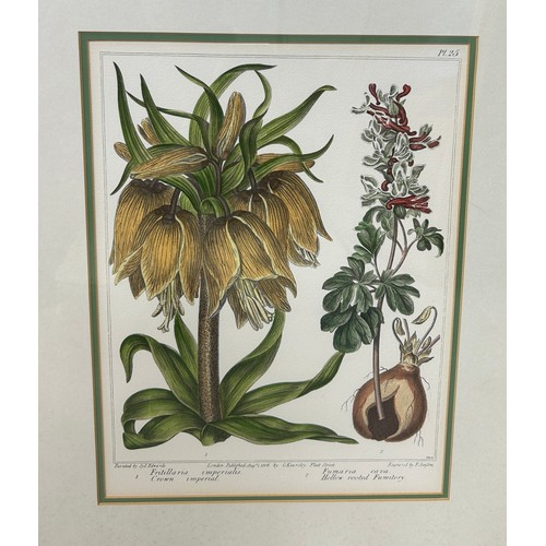 793 - A SET OF FOUR HAND COLOURED BOTANICAL PRINTS AFTER SYD EDWARDS AND E SANSOM, 

34cm x 26cm 

Mounted... 