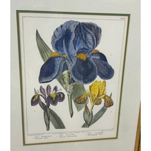 793 - A SET OF FOUR HAND COLOURED BOTANICAL PRINTS AFTER SYD EDWARDS AND E SANSOM, 

34cm x 26cm 

Mounted... 