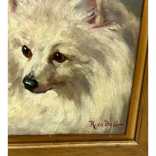 421 - ROSA BEBB (1857-1938): AN OIL PAINTING ON BOARD DEPICTING A FINE PORTRAIT OF A WHITE POMERANIAN DOG,... 