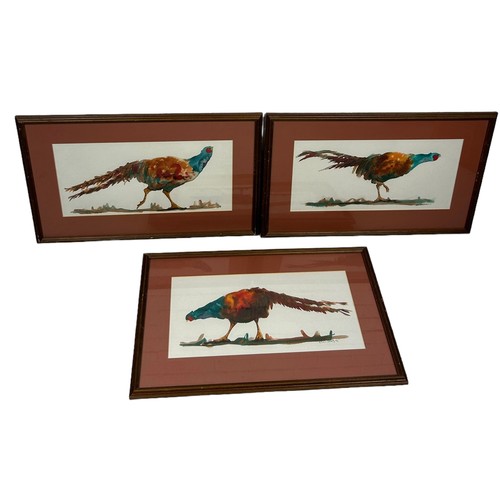 807 - THREE WATERCOLOURS DEPICTING PHEASANTS, 

37cm x 18cm 

Mounted in frames and glazed. 

50cm x 31cm ... 