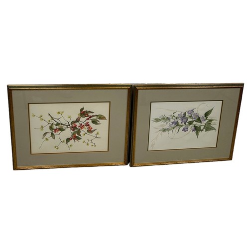 789 - MARY GRIERSON (BRITISH): TWO BOTANICAL WATERCOLOUR PAINTINGS ON PAPER, 

Signed in pencil. 

Spink a... 