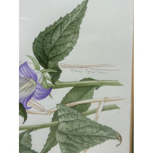 789 - MARY GRIERSON (BRITISH): TWO BOTANICAL WATERCOLOUR PAINTINGS ON PAPER, 

Signed in pencil. 

Spink a... 