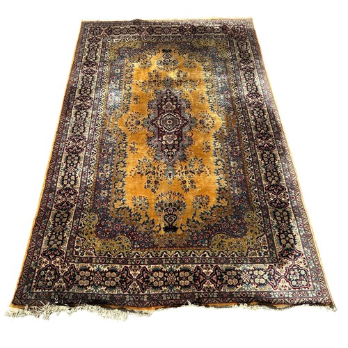 725 - A PERSIAN DESIGN CARPET, 250cm x 152cm