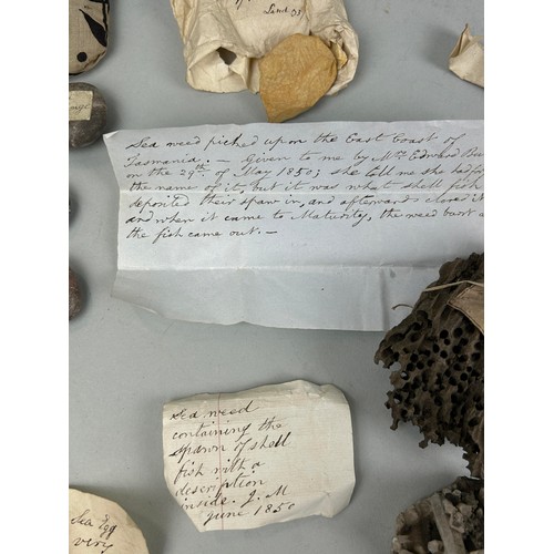 473 - A COLLECTION OF CURIOSITIES COLLECTED BY CAPTAIN JAMES MUDDLE TO INCLUDE HANDWRITTEN LABELS: Porphyr... 